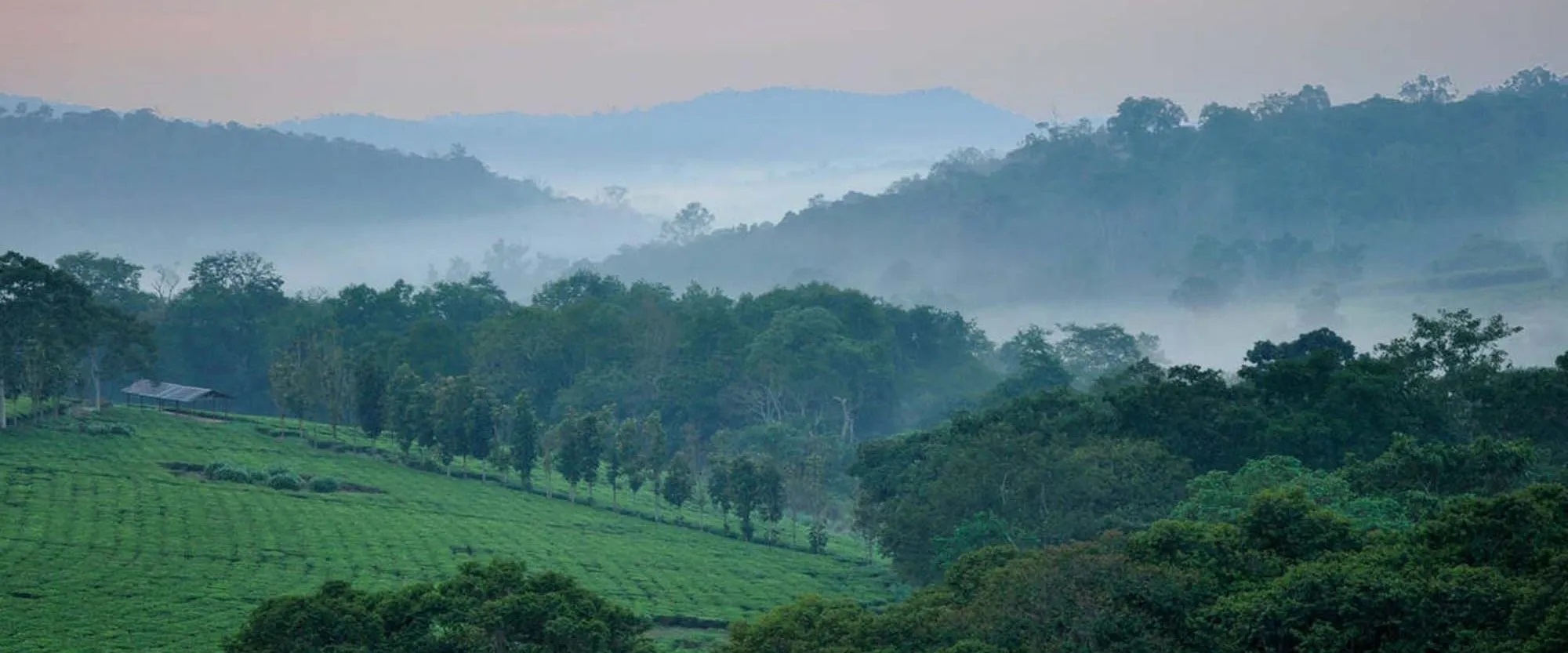 Kibale National Park